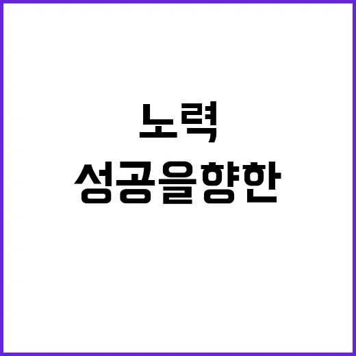 노력 성공을 향한 …