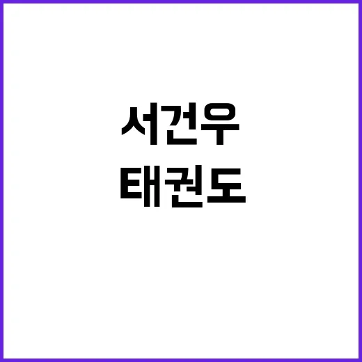 시스템 오류 태권도…