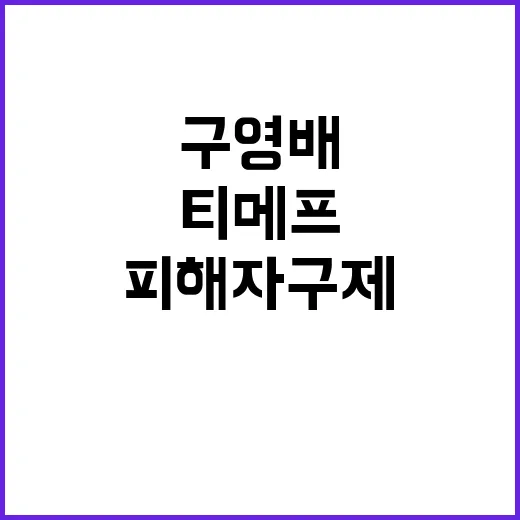 ‘티메프 합병’ 구영배 피해자 구제의 진실은?