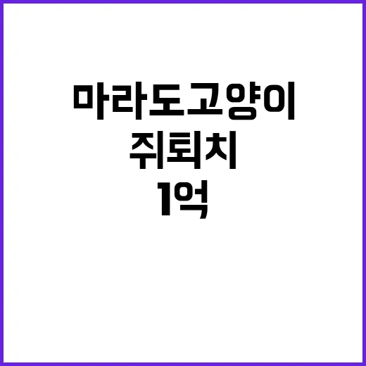 쥐 퇴치 1억 투자…