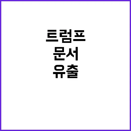 트럼프 캠프 문서 …