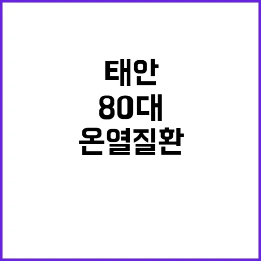 온열질환 태안 80대 사망 소식에 충격!