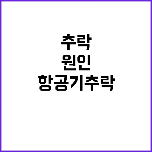 미스터리 항공기 추…