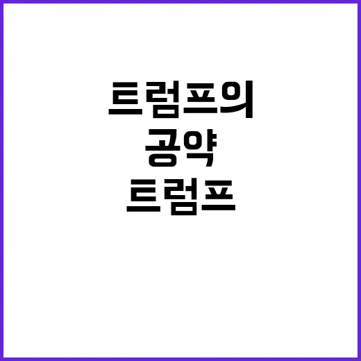 팁 면세 공약 해리…