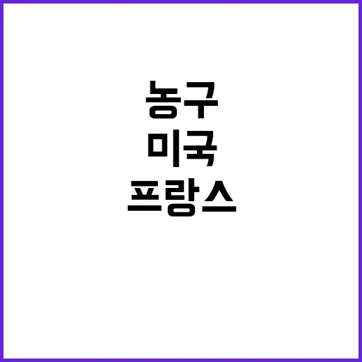 미국 여자농구 프랑…