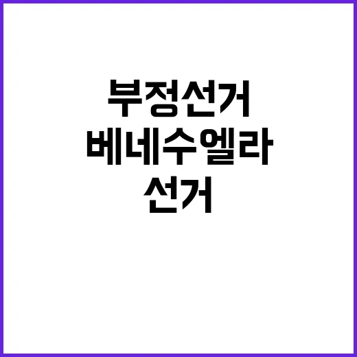 부정선거 미국의 베…