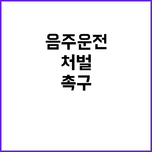 음주운전 처벌 강화…