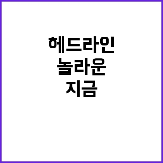 헤드라인 지금 이루…