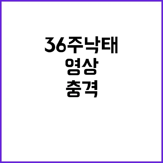 36주 낙태 실제 영상 공개로 충격 주다!