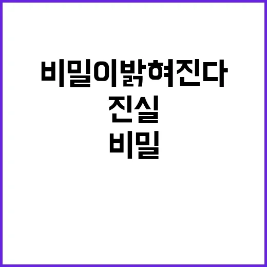 조폭의 장례식 진실…