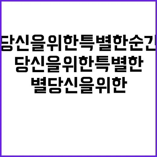 별 당신을 위한 특…