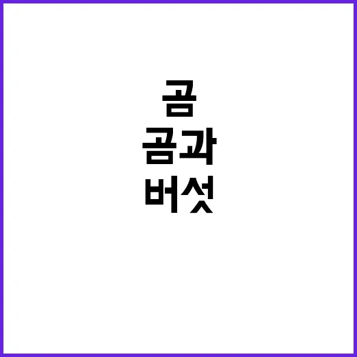 버섯 채취 곰과 마…