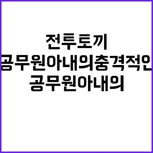 전투토끼 폭로 공무원 아내의 충격적인 비밀!