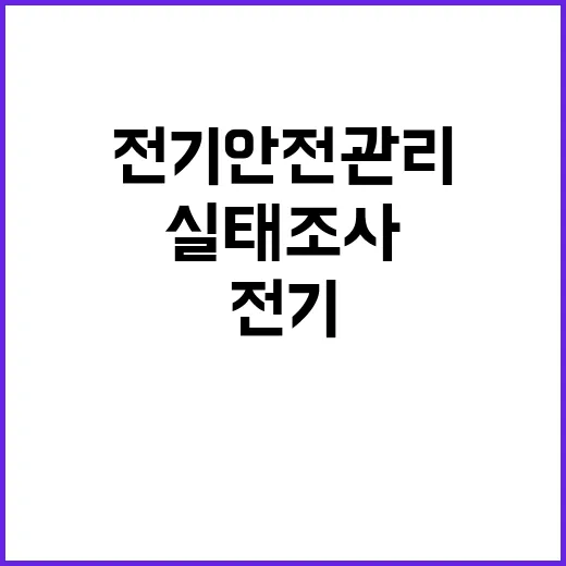 전기안전관리 사업장 700곳 실태조사 발표!