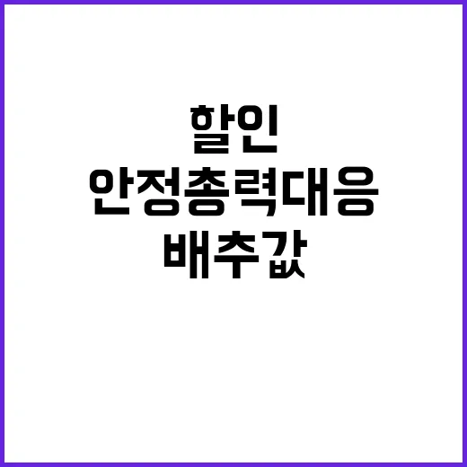 배추값 할인 정부 …