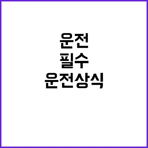 운전상식 당신이 모…