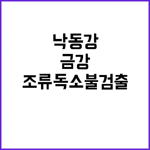 조류독소 불검출 낙…