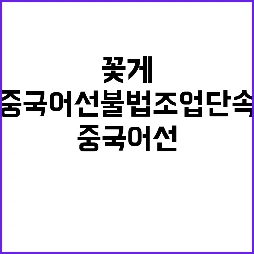 꽃게 수급 안정 중국어선 불법조업 단속 강화!