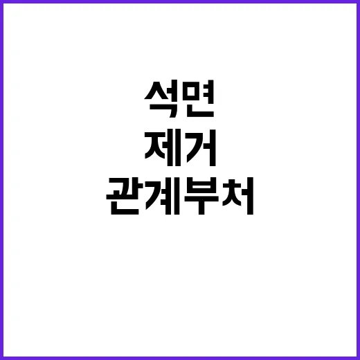 석면 제거 정부의 …