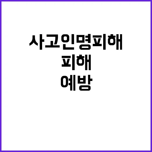 산악사고 인명피해 …