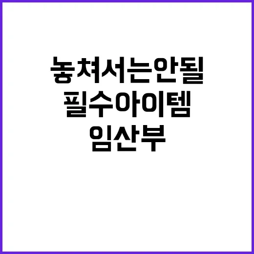 임산부 필수 아이템…