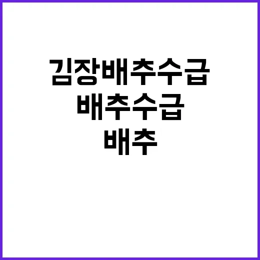 김장배추 수급 문제…