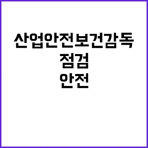 산업안전보건 감독 …