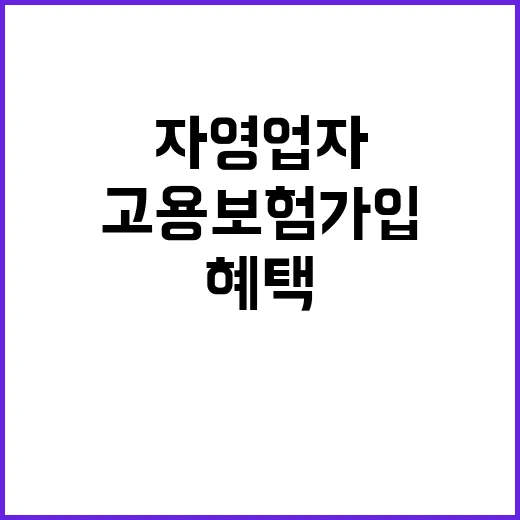 고용보험 가입 자영…