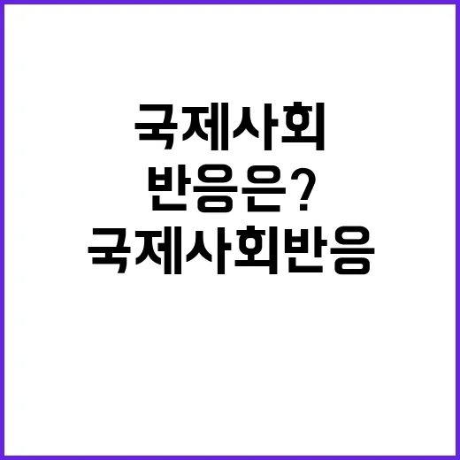 북철수 정부의 강력…