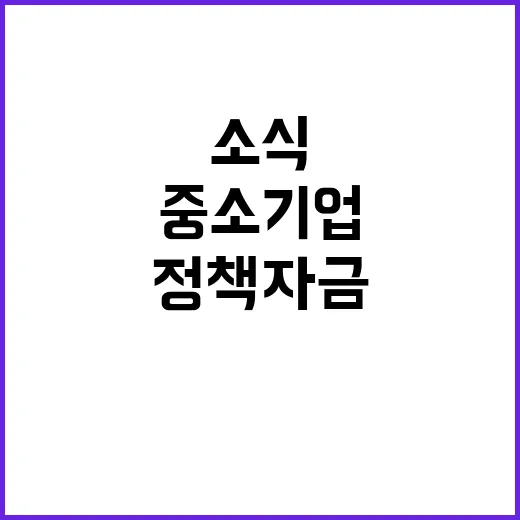 중소기업 정책자금 …