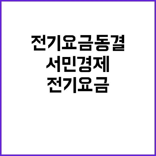 전기요금 동결 서민…