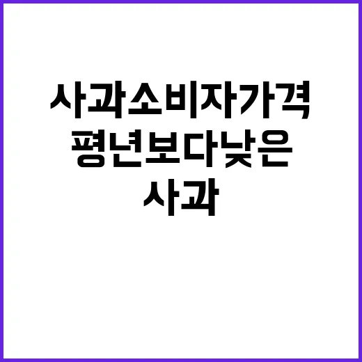 “사과 소비자가격 …