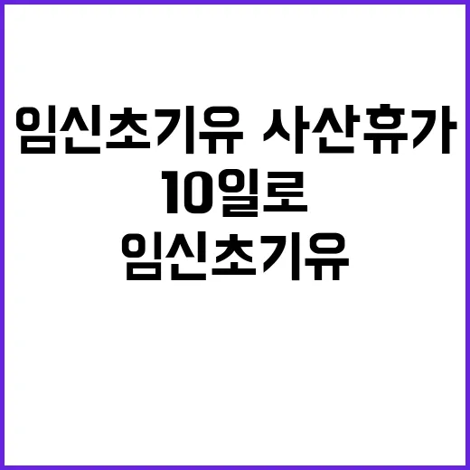 임신초기 유·사산휴…