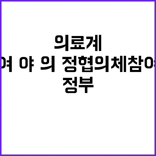 의료계 정부 여·야…