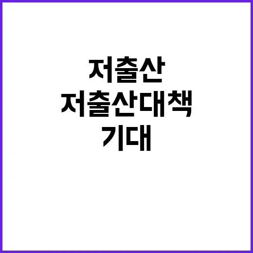 저출산 대책 실천 …