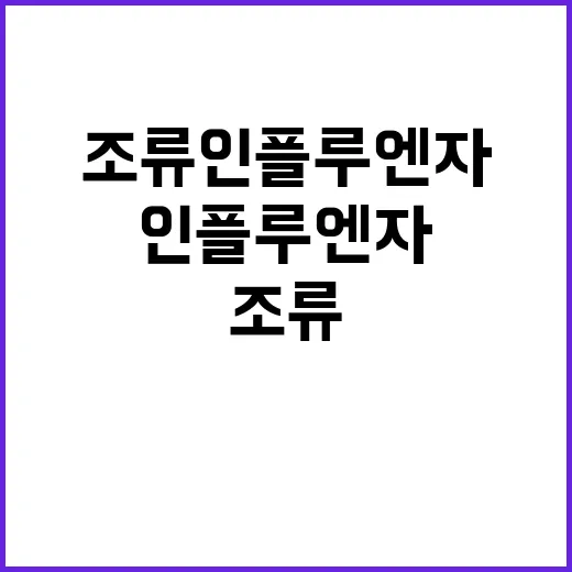 조류인플루엔자 인체…