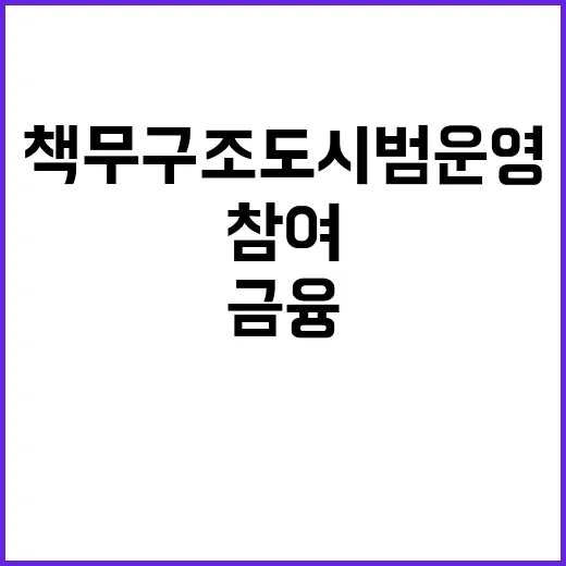 책무구조도 시범운영 18개 금융기관 참여!