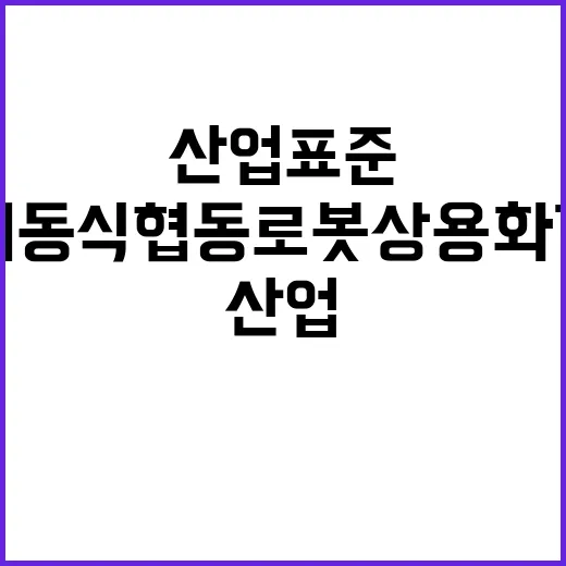 안전기준 산업표준 …