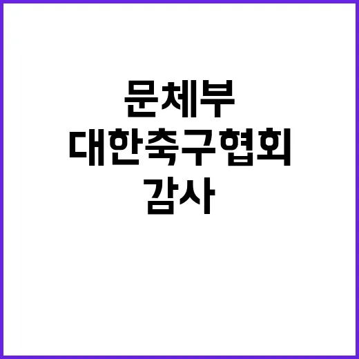 특정감사 문체부와 …