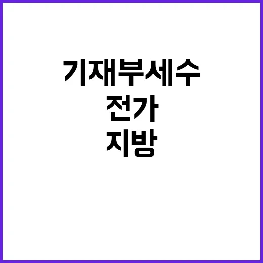 기재부 세수부족 부…