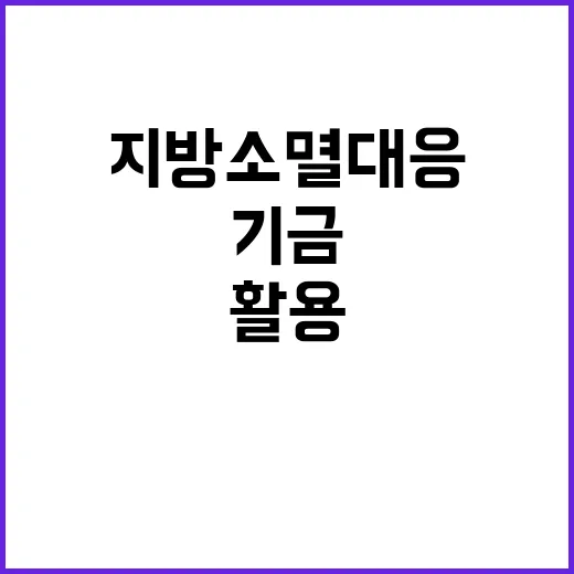 기금 내년 지방소멸…