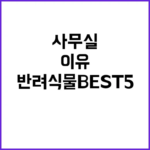 반려식물 BEST …