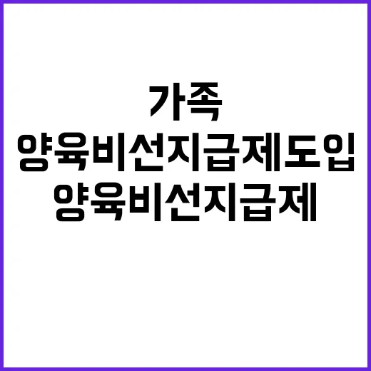 양육비 선지급제 도…