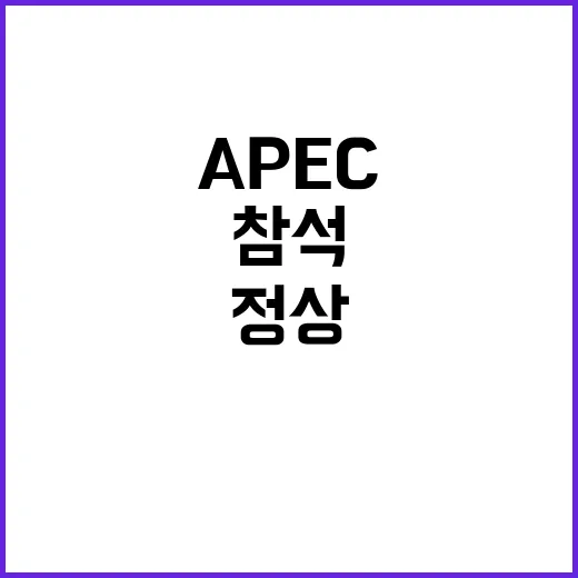 APEC 브라질 정…