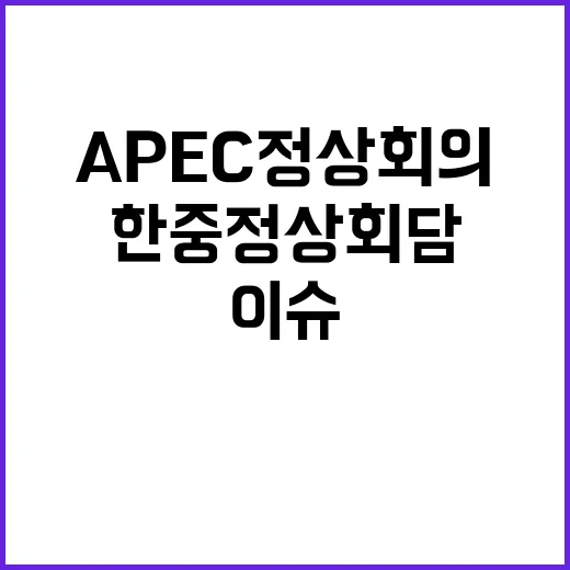 APEC 정상회의 …