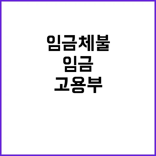 임금체불 예방 고용…