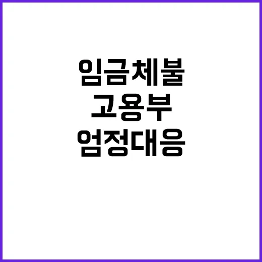 임금체불 중대범죄 …