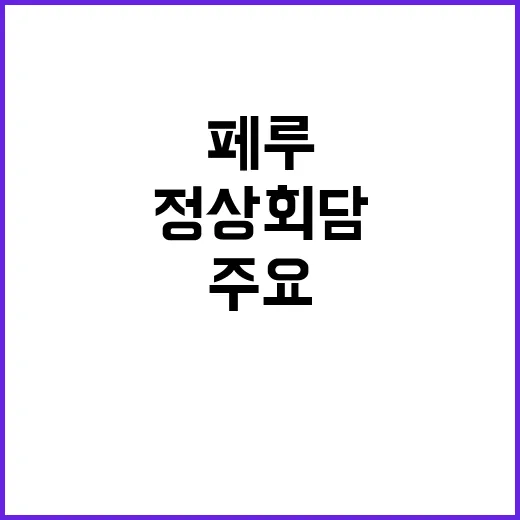 정상회담 한·페루의…