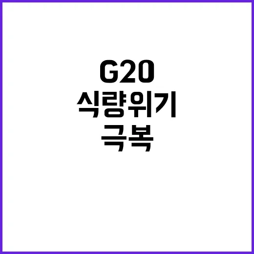 G20 기아 극복 …