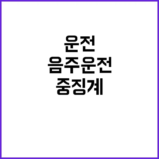 음주운전 경찰관 동…